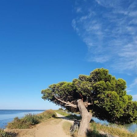 T2 Cosy A La Plage, Terrasse Vue Sur Mer Et Parking Privatif Нарбон Екстериор снимка