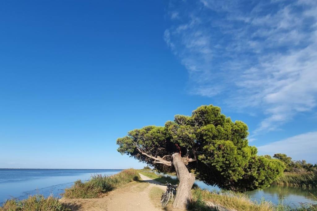 T2 Cosy A La Plage, Terrasse Vue Sur Mer Et Parking Privatif Нарбон Екстериор снимка